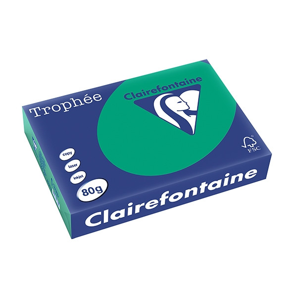 Clairefontaine papier couleur 80 g/m² A4 (500 feuilles) - vert sapin 1783C 250062 - 1