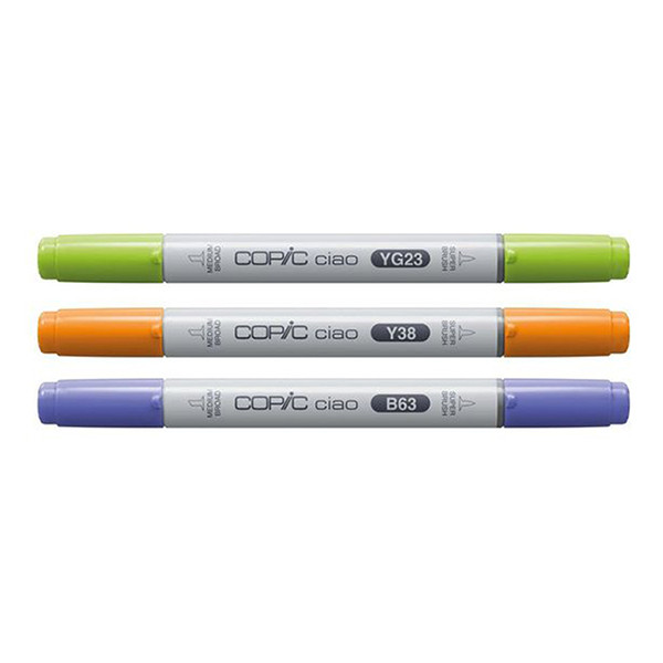 Copic Ciao Layer & Mix Botanic Palette jeu de marqueurs (3 pièces) 220750306 311010 - 2