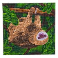 Crystal Art kit broderie diamant 30 x 30 cm - Paresseux à deux doigts CAK-A143M 400939