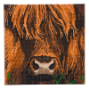 Crystal Art kit broderie diamant 30 x 30 cm - Vache Highland 400949 - 1