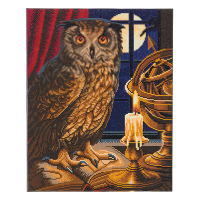 Crystal Art kit broderie diamant 40 x 50 cm - Hibou Astrologue CAK-A99L 400957