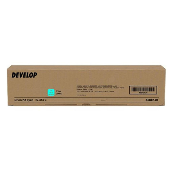 Develop TN313C (A06V4D4) toner (d'origine) - cyan A06V4D4 049306 - 1