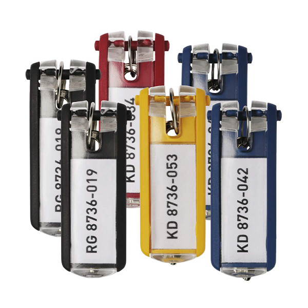 Durable porte-clés assorti (6 pièces) 195700 310216 - 1