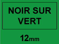 Dymo S0721640/91204 ruban en plastique 12 mm (marque 123encre) - vert S0721640C 088309