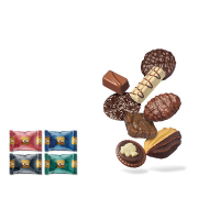Elite Special Chocolate Sensation mélange de biscuits (120 pièces) 137301