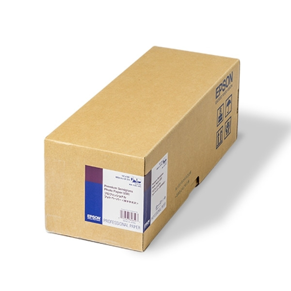 Epson S041743 Premium rouleau de papier photo semi-brillant 406 mm (16 pouces) x 30,5 m (250 g/m²) C13S041743 151224 - 1