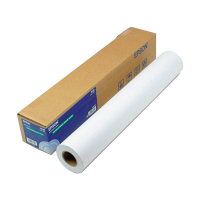 Epson S041894 Premium rouleau de papier photo glacé 36'' x 30,5 m (250 g/m²) C13S041894 151241