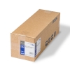 Epson S042003 rouleau de papier semi-mat pour épreuves 432 mm (17 pouces) x 30,5 m (250 g/m²) - blanc