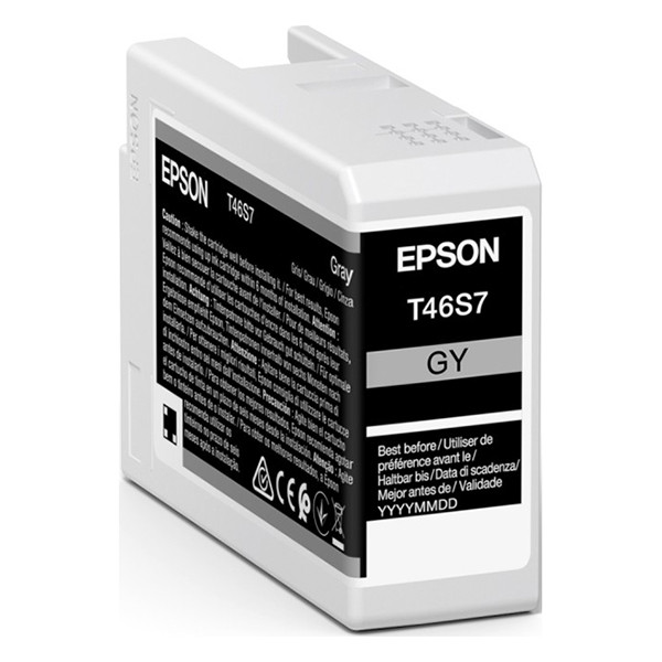 Epson T46S7 cartouche d'encre (d'origine) - gris C13T46S700 083502 - 1