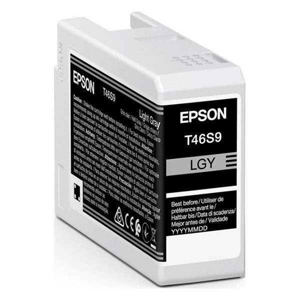 Epson T46S9 cartouche d'encre (d'origine) - gris clair C13T46S900 083504 - 1