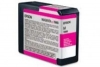 Epson T5803 cartouche d&#039;encre (d&#039;origine) - magenta 025910