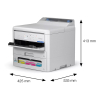 Epson WorkForce Pro EP-C800RDW imprimante à jet d'encre A4 avec wifi C11CK21401 831946 - 4