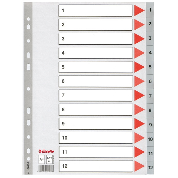 Esselte 100106 intercalaires en plastique A4 avec 12 onglets 1-12 (11 trous) - gris 100106 203814 - 1