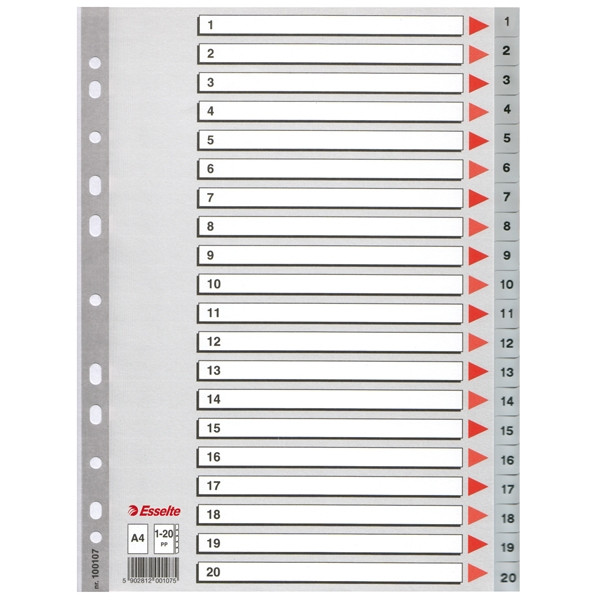 Esselte 100107 intercalaires en plastique A4 avec 20 onglets (11 trous) - gris 100107 203816 - 1