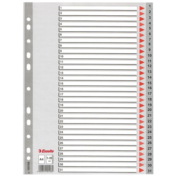 Esselte 100108 intercalaires en plastique A4 avec 31 onglets (11 trous) - gris 100108 203818 - 1