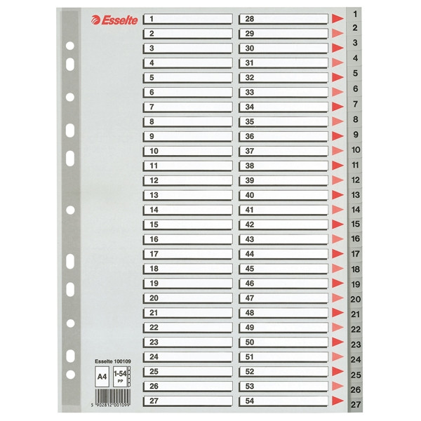 Esselte 100109 intercalaires en plastique A4 avec 54 onglets (11 trous) - gris 100109 203820 - 1