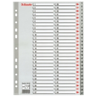 Esselte 100109 intercalaires en plastique A4 avec 54 onglets (11 trous) - gris 100109 203820
