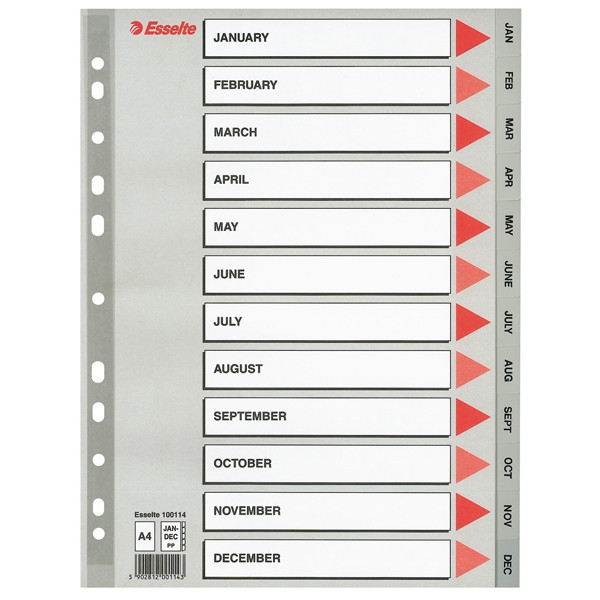 Esselte 100114 intercalaires en plastique A4 jan-déc (11 trous) - gris 100114 203824 - 1