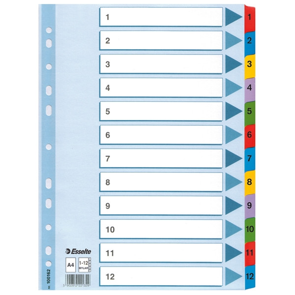 Esselte 100162 intercalaires A4 en carton avec 12 onglets (11 trous) 100162 203836 - 1