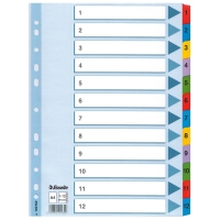 Esselte 100162 intercalaires A4 en carton avec 12 onglets (11 trous) 100162 203836