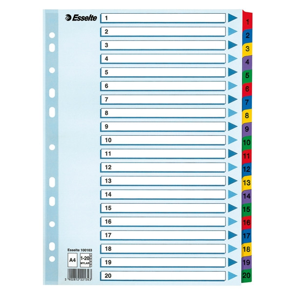 Esselte 100163 intercalaires A4 en carton avec 20 onglets (11 trous) 100163 203838 - 1