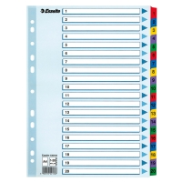 Esselte 100163 intercalaires A4 en carton avec 20 onglets (11 trous) 100163 203838