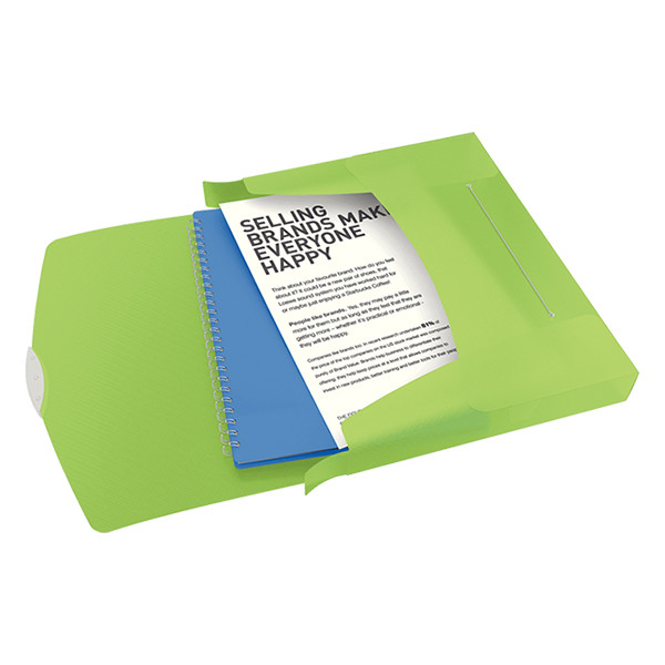 Esselte 6240 Vivida boîte de classement transparente 40 mm (380 feuilles) - vert 624051 203221 - 2