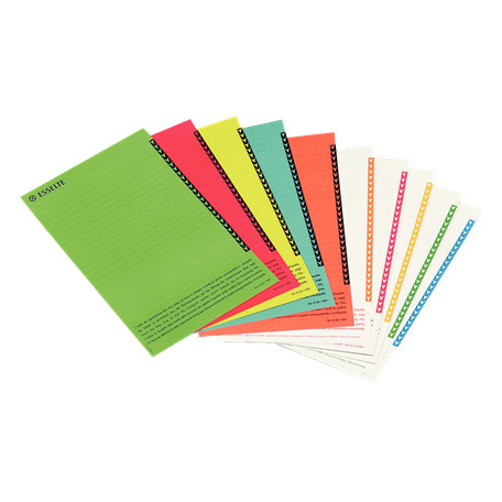 Esselte Orgarex étiquettes de rechange pour dossiers suspendus verticaux (250 pièces) 203215 - 1