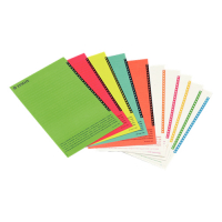 Esselte Orgarex étiquettes pour dossiers suspendus latéraux (250 pièces) 326400 203265