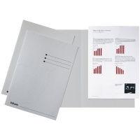 Esselte chemise carton avec des bords égaux et indexage A4 (100 chemises) - gris 2113407 203606