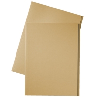 Esselte chemise en carton avec bord décalé de 10 mm folio (100 chemises) - crème 1032404 203662