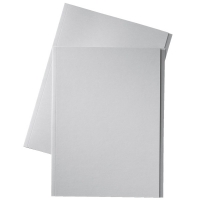 Esselte chemise en carton avec bord décalé de 10 mm folio (100 chemises) - gris 1032407 203666