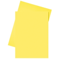 Esselte chemise en papier A4 (250 chemises) - jaune 2103406 203584
