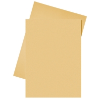 Esselte chemise en papier A4 (250 chemises) - orange 2103413 203590