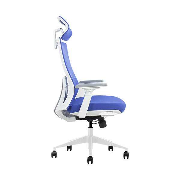 Euroseats Verona chaise de bureau - bleu 01.VER.WH.BLUE 205880 - 3