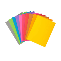 Exacompta Rock's 210 chemise A4 (100 pièces) - assorti 404672