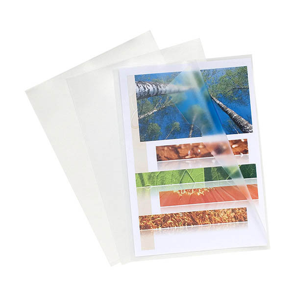 Exacompta chemise transparente A4 120 microns (100 pièces) - cristal 404494 - 1