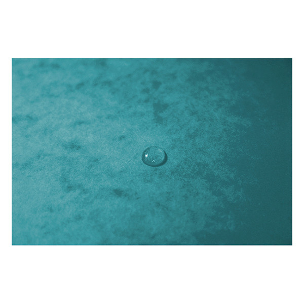 Exacompta farde à élastique en carton lustré A4 - bleu givré 55273E 404160 - 5