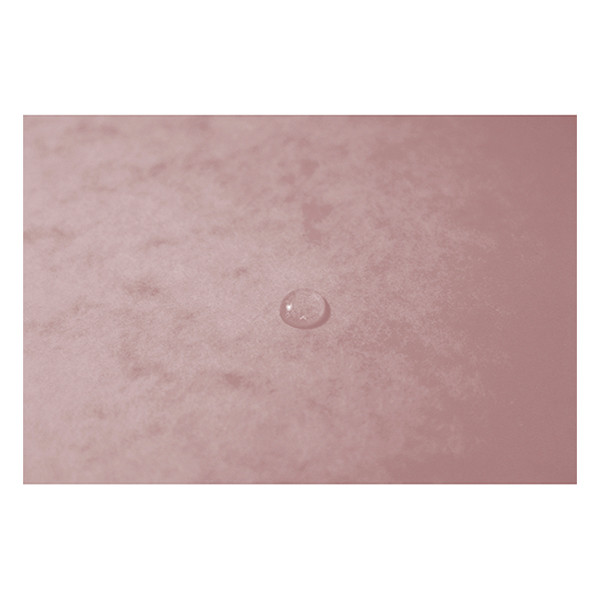 Exacompta farde à élastique en carton lustré A4 - rose tendre 55274E 404161 - 5