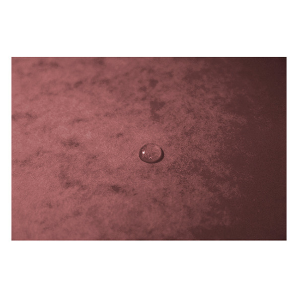 Exacompta farde à élastique en carton lustré A4 - vieux rose 55276E 404162 - 5