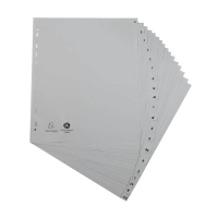 Exacompta intercalaires en plastique A4+ avec 12 onglets par mois (11 trous) 404498