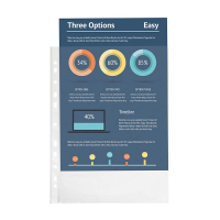 Exacompta pochette perforée A4 11 trous 38 microns (100 pièces) - transparent 404488