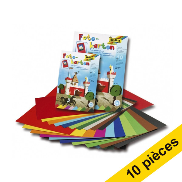 Offre : 10x Folia carton photo 22 x 33 cm (10 feuilles) - couleur 222315 - 1