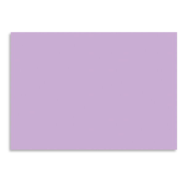 Folia carton photo 50 x 70 cm lilas (25 feuilles) FO-612531 222028 - 1