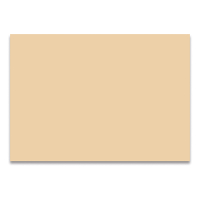 Folia carton photo 50 x 70 cm peau de chamois (25 feuilles) FO-612510 222004