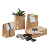 Folia sacs cadeaux papier naturel 100 x 175 x 55 mm (15 sachets) 41110 222336 - 2
