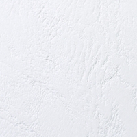 GBC CE040070 Leathergrain couverture de reliure 250 grammes (100 pièces) - blanc CE040070 207400