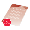 GBC pochette de plastification pour document A4 brillante 2x75 microns (25 pièces) 3740489 207589 - 4