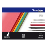 Kangaro bloc de croquis coloré 34,5 x 24 cm 110 g/m² (20 feuilles) K-5588 205491