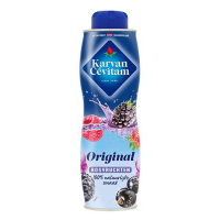 Karvan Cevitam Karvan Cévitam sirop fruits des bois (600 ml) 25325 423239